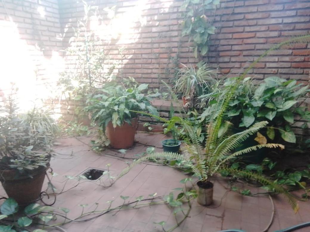 Tejas Homestay *